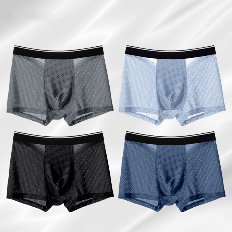 8pcs/Lot Men's Panties Ice Sil - Multi Pack Underwear recensione e prezzo