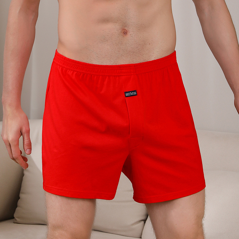 1PCS Men's Underwear Aro Pants - Boxer Brief Pack Cotton recensione e prezzo