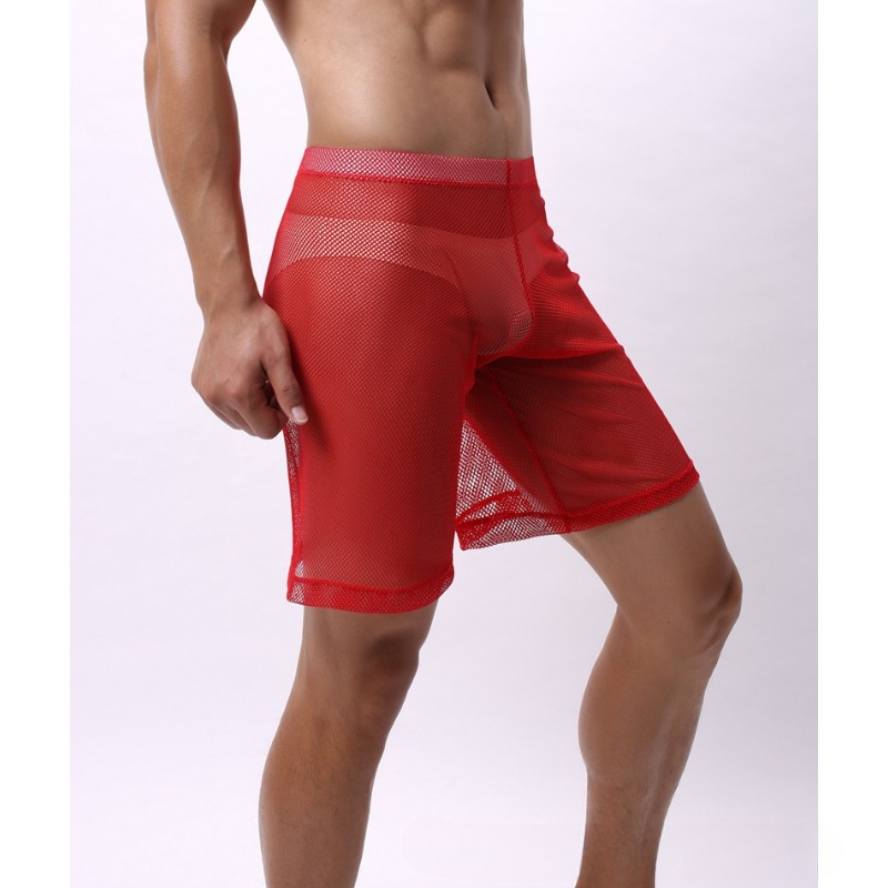 Low Rise Mesh Erotic Underwear - Pouch Boxer Pouch recensione e prezzo