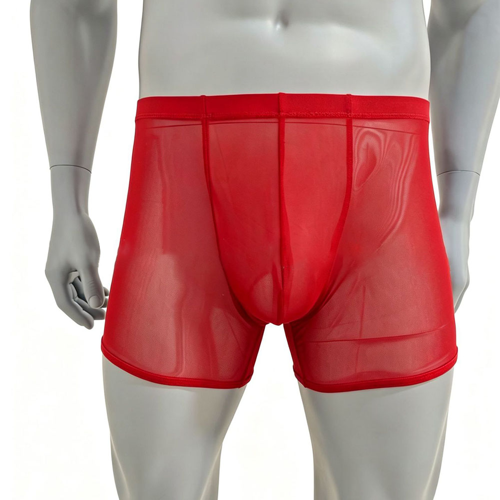 Men Mesh See-through Ultra-thi - Long Leg Trunk Men recensione e prezzo