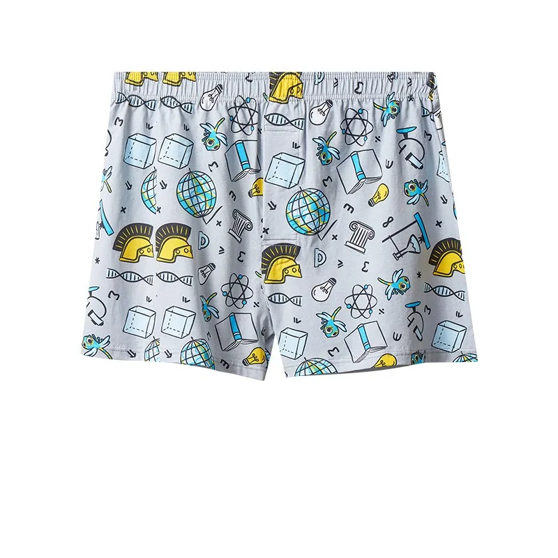 Mens Boxers Cotton Aro Pants S - Boxer Brief Pack Cotton recensione e prezzo